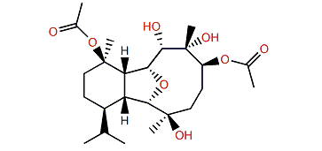 Klyxumine A